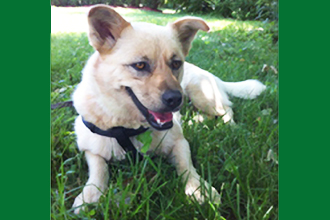 blondie5194formatted